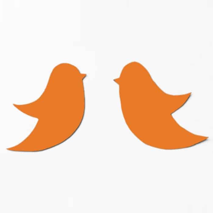 Twitter für Unternehmen , zwei orangene Vögel
